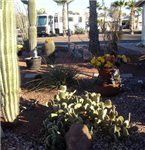 RV Parks in Casa Grande Arizona