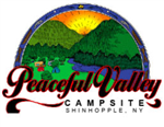 RV Parks in Downsville NY