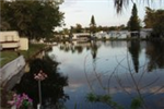 RV Parks in Ellenton Florida
