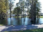 RV Parks in Winter Garden Florida