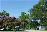 RV Parks in Monroe Louisiana